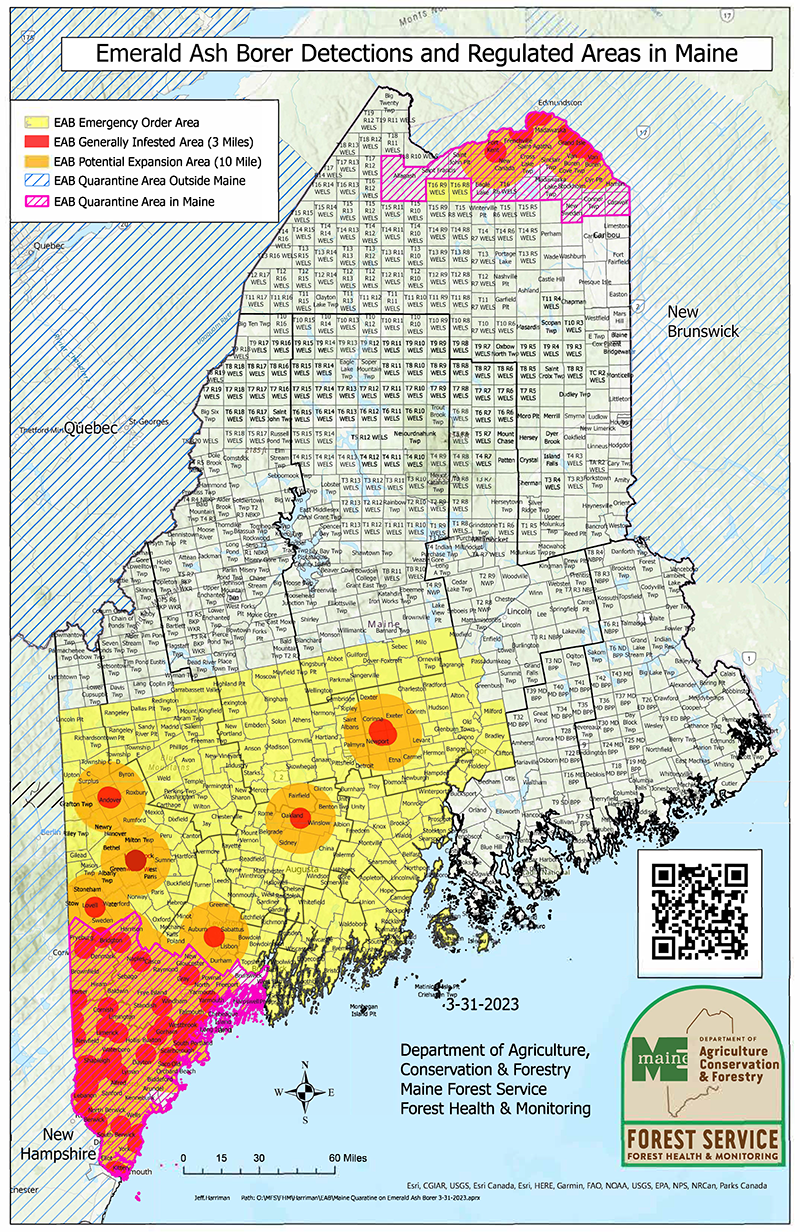 EAB Detections and Regulated Areas in Maine